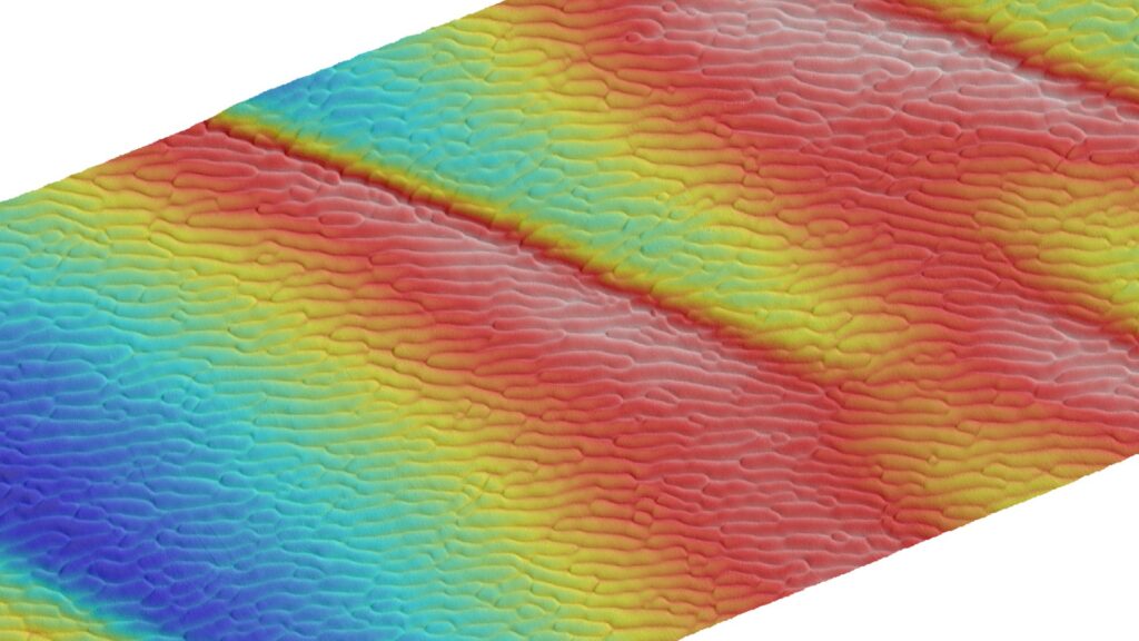 MULTIBEAM & BACKSCATTER PROCESSING.